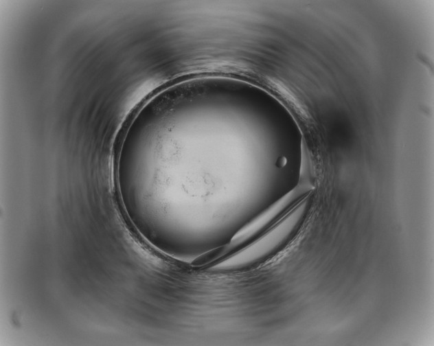 X0000097291079200802151409