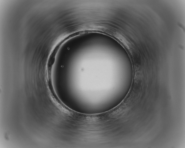 X0000097291080200802151409