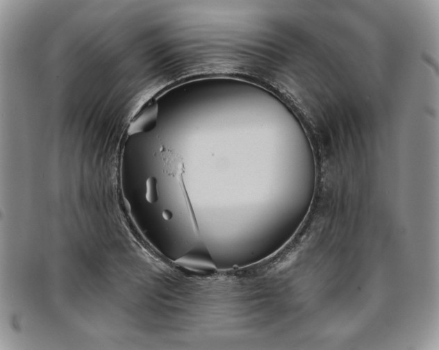 X0000097291081200802151409