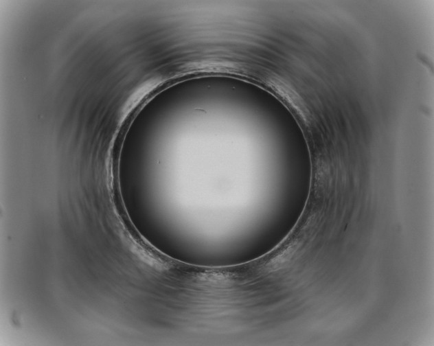 X0000097291082200802151409