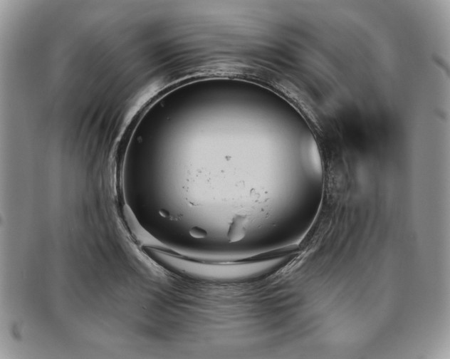 X0000097291083200802151409