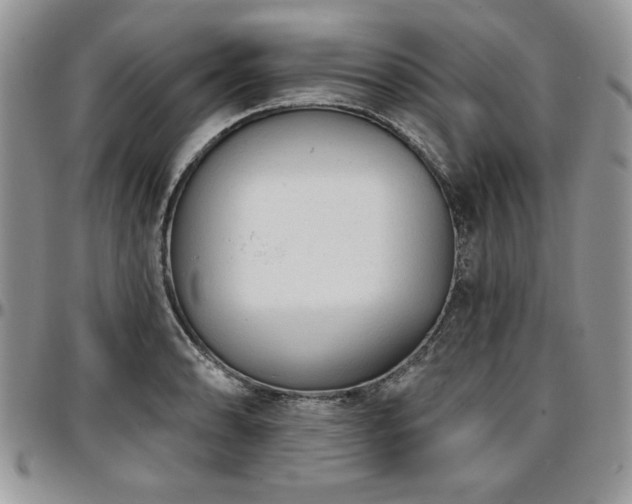 X0000097291086200802151409