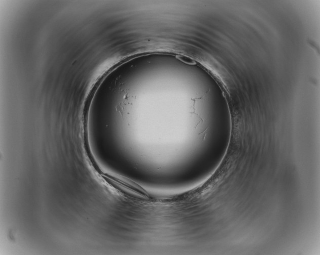 X0000097291088200802151409