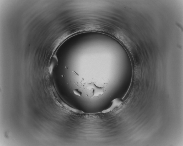 X0000097291089200802151409