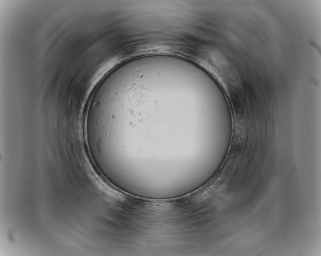 X0000097291090200802151409