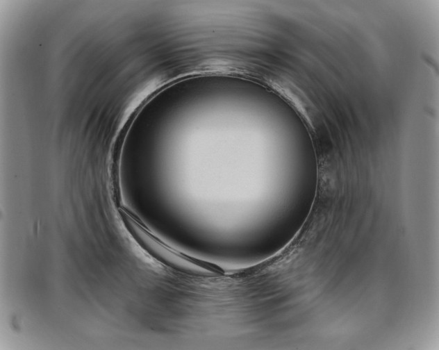 X0000097291091200802151409