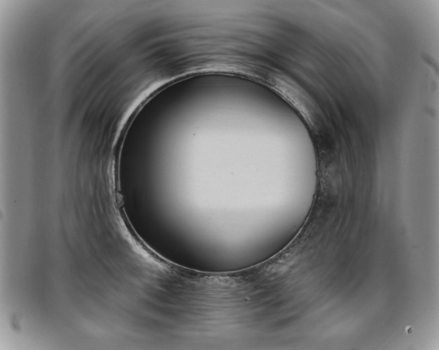 X0000097291092200802151409