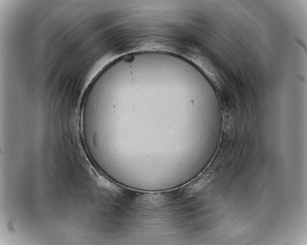 X0000097291094200802151409