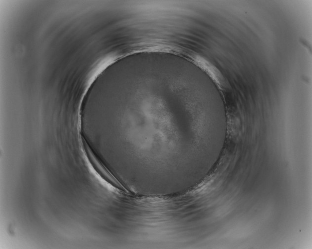X0000097291095200802151409