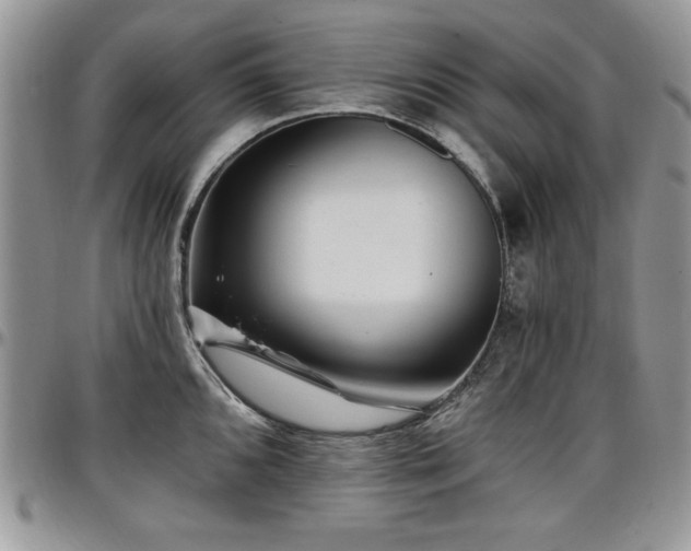 X0000097291096200802151409