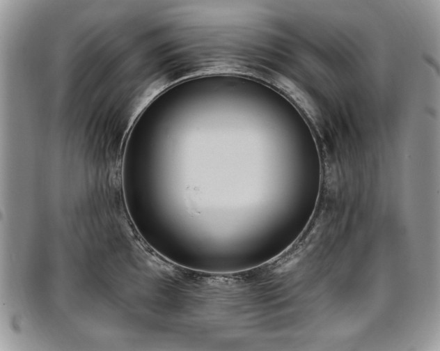 X0000097291097200802151409