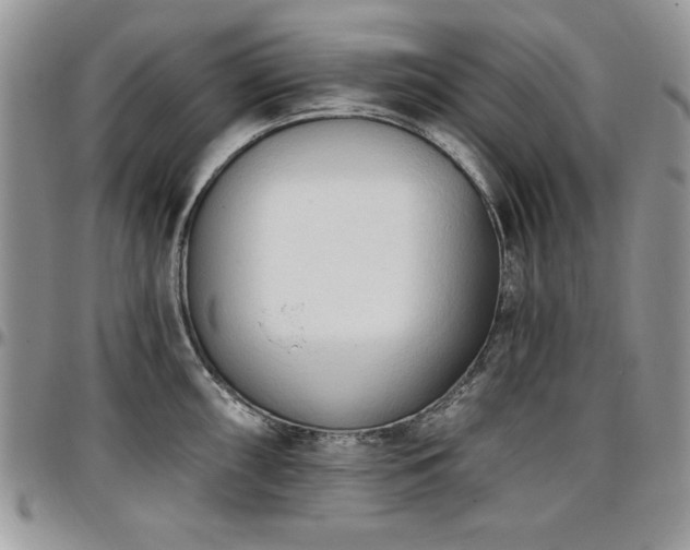 X0000097291098200802151409