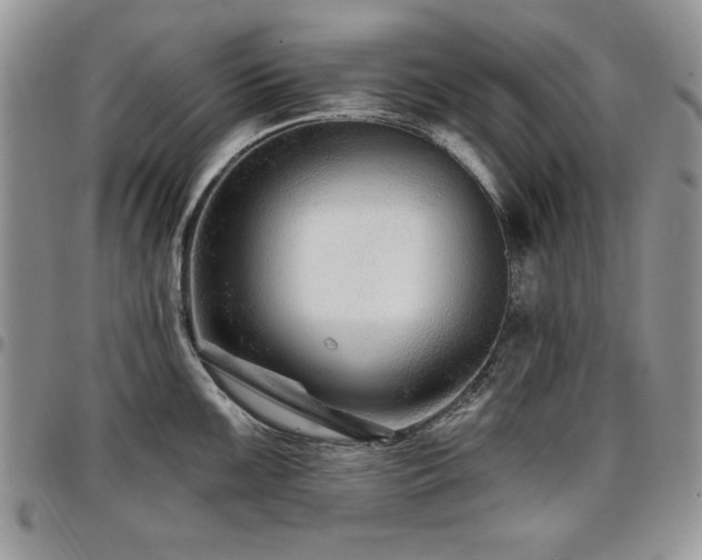 X0000097291099200802151409