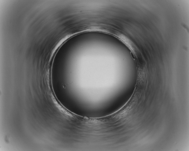 X0000097291100200802151409