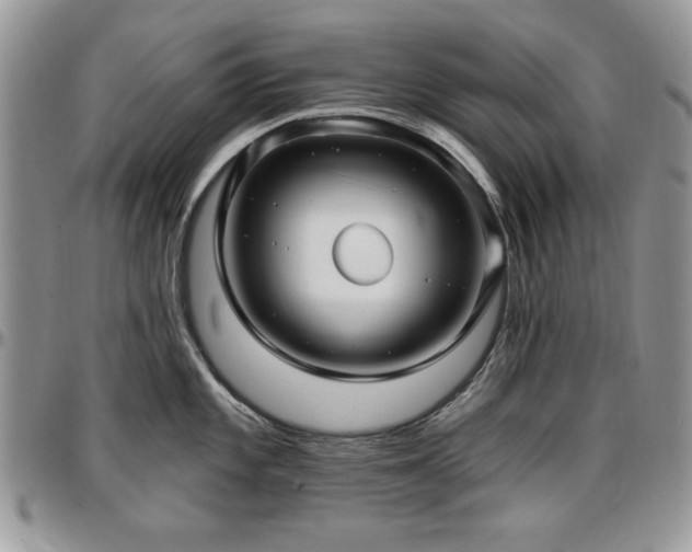 X0000097291101200802151409
