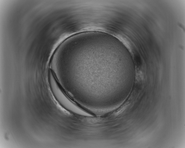 X0000097291102200802151409