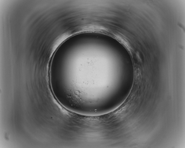 X0000097291103200802151409