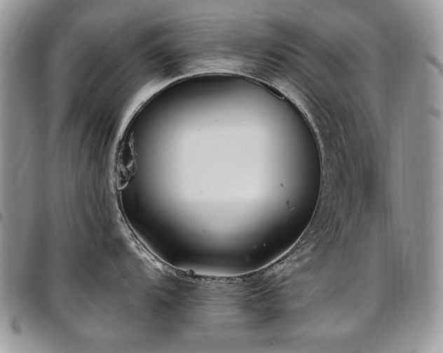 X0000097291104200802151409
