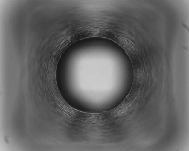 X0000097291105200802151408