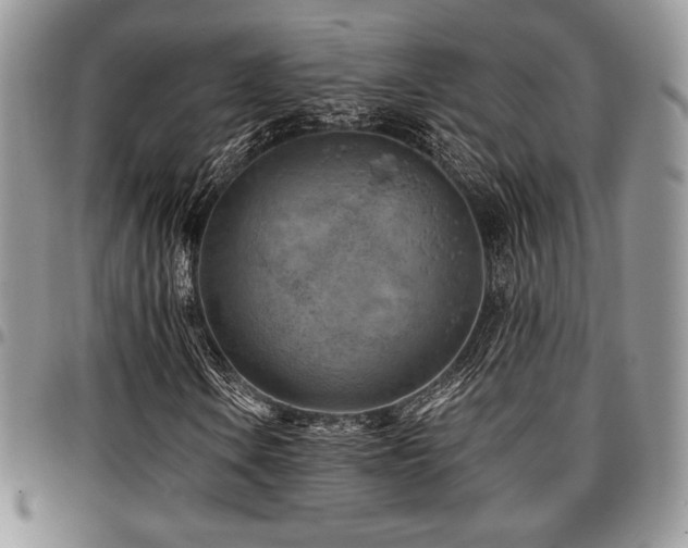 X0000097291106200802151408