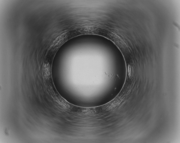 X0000097291107200802151408