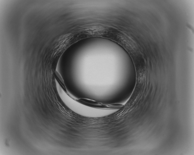 X0000097291108200802151408
