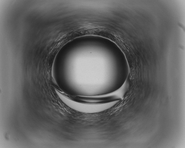 X0000097291109200802151408