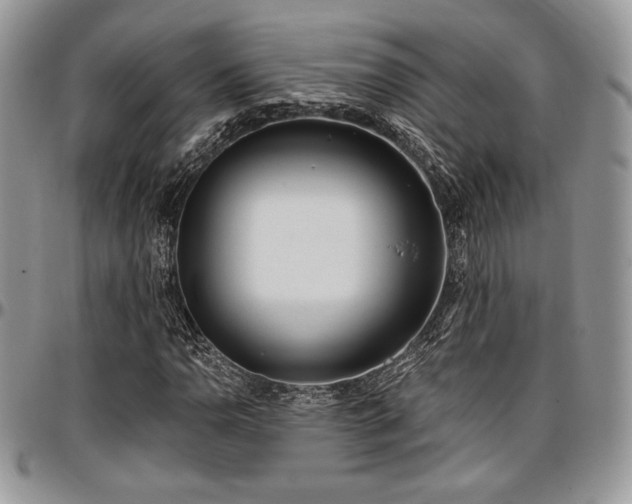 X0000097291110200802151408