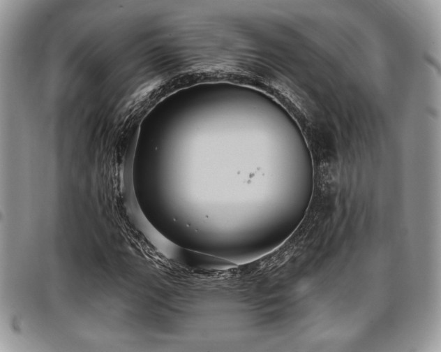 X0000097291111200802151408