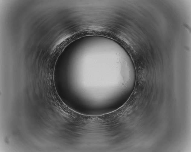X0000097291112200802151408