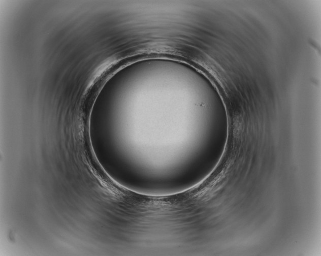 X0000097291115200802151408