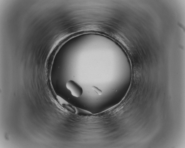 X0000097291116200802151408