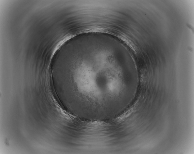X0000097291117200802151408