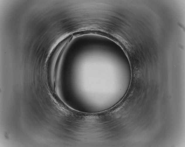 X0000097291118200802151408