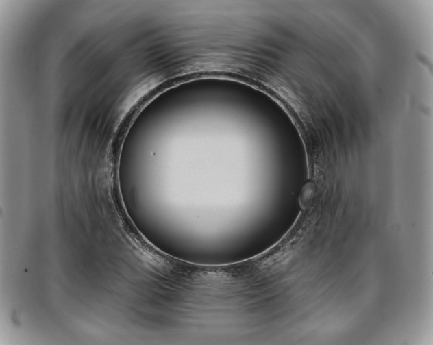 X0000097291119200802151408