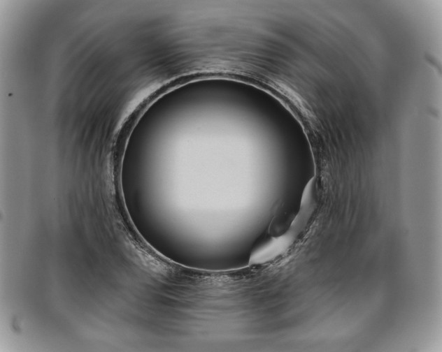 X0000097291120200802151408