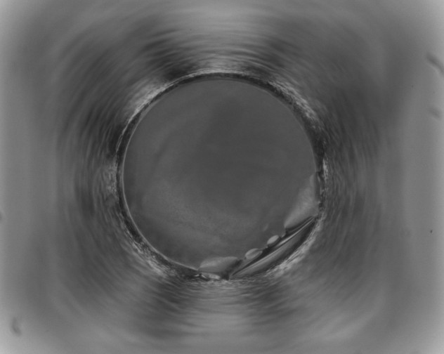 X0000097291121200802151408