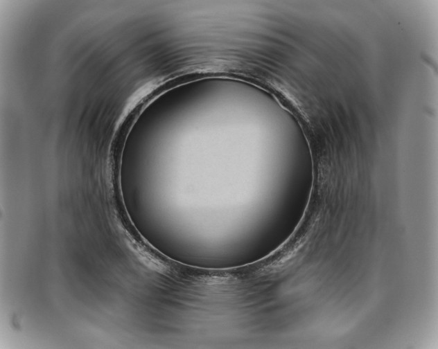 X0000097291122200802151408