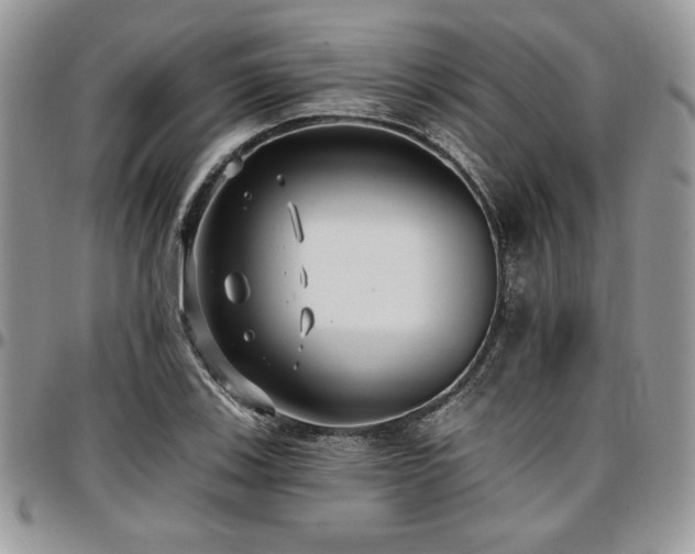 X0000097291123200802151408