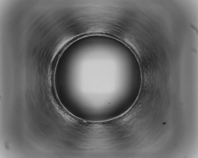 X0000097291124200802151408