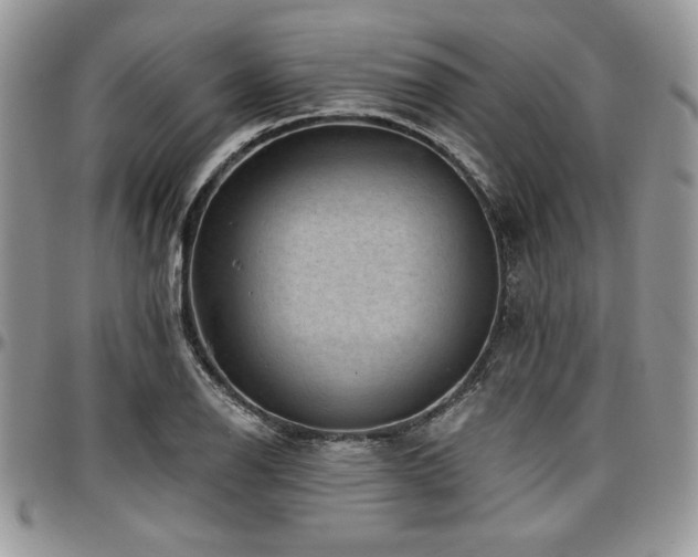 X0000097291126200802151409