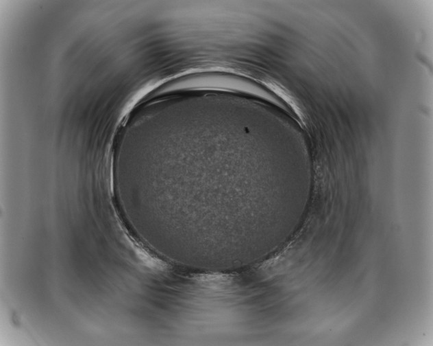 X0000097291127200802151409