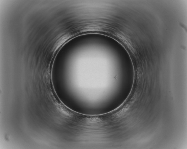 X0000097291129200802151409
