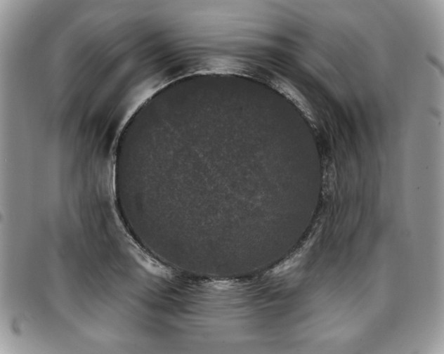 X0000097291130200802151409