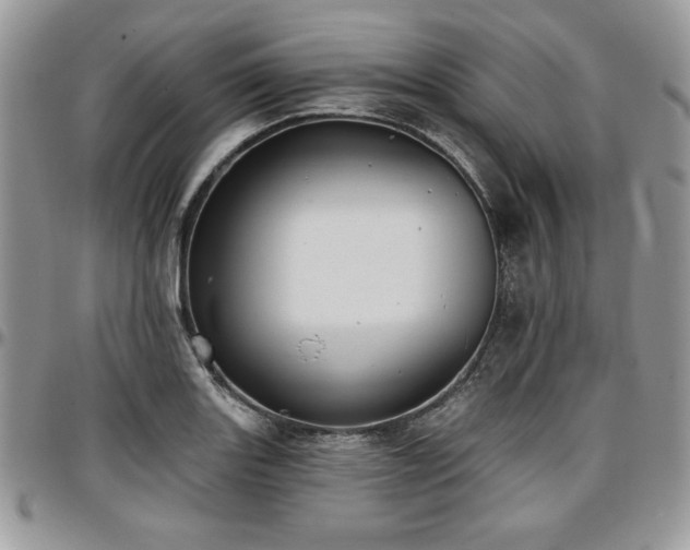 X0000097291131200802151409