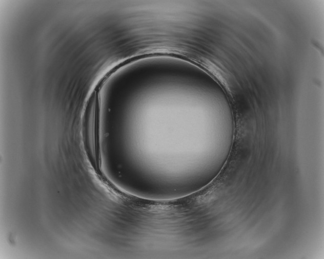 X0000097291132200802151409