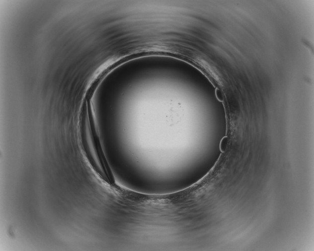 X0000097291133200802151409