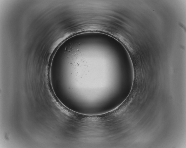 X0000097291134200802151409
