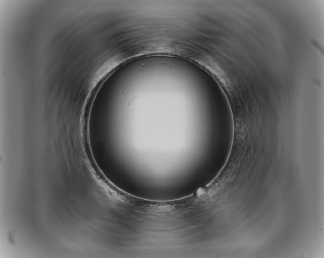 X0000097291135200802151409