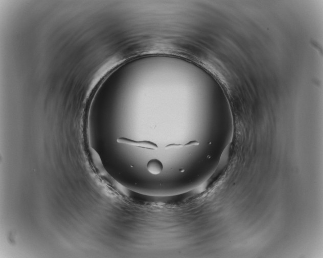 X0000097291138200802151409